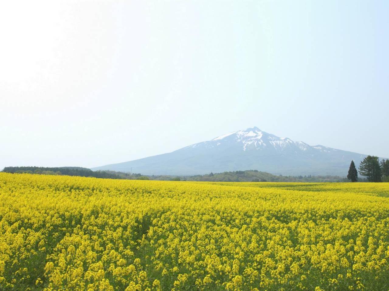 Apa Hotel Aomori Eki Kenchodori Exteriér fotografie